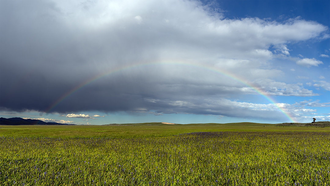 DSC08739-Pano